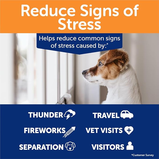 ThunderWunders Hemp Dog Calming Chews | Vet Recommended for Situational Anxiety | Fireworks, Thunderstorms, Travel & More | Made with Hemp Seed, Thiamine, L-Tryptophan, Melatonin & Ginger (180 Count)