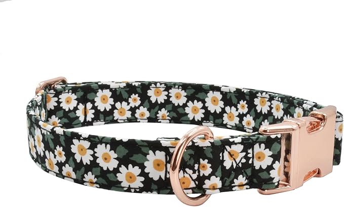 Metal Buckle Dog Collar, Durable Adjustable Dog Collar Soft for Small Medium Large Dogs (001-Black Flower, M(13-18in)