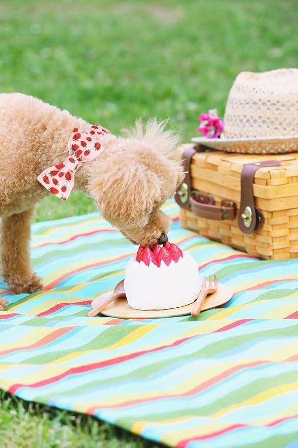 Lionet Paws Dog Collar with Bowtie - Summer Cute Cotton Adjustable Bowtie Dog Collar with Metal Buckle for Medium Dog Girl Boy, M, Neck 13.5-22in