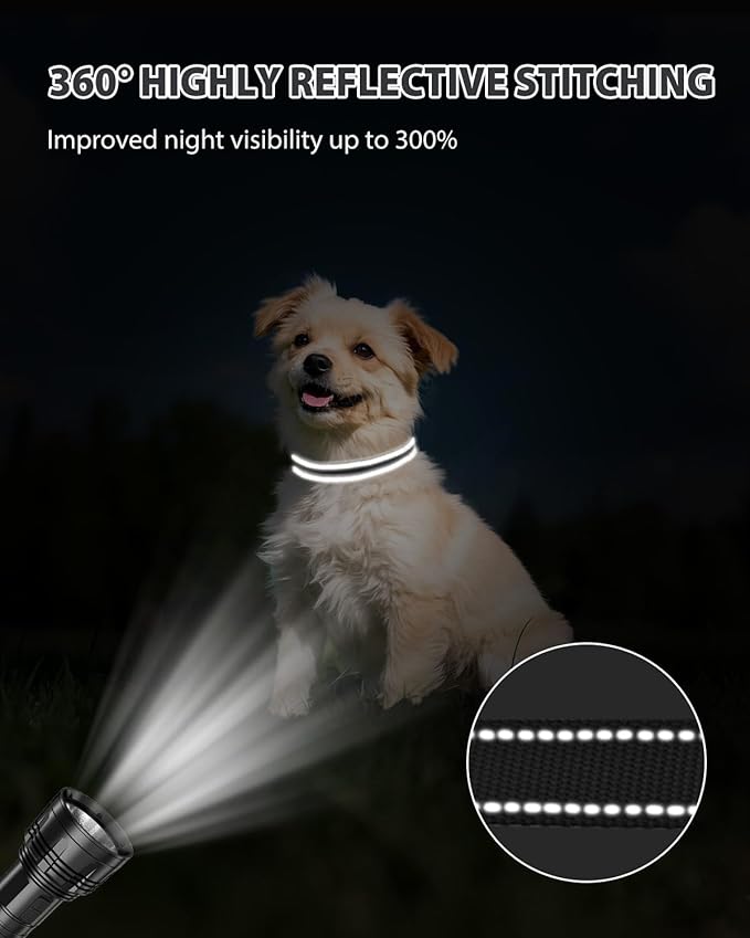Joytale Small Dog Collar, Reflective and Adjustable Nylon Collar with Quick-Release Buckle, Lightweight No-Choke Design for Small Dogs, Black, 3/4" Width