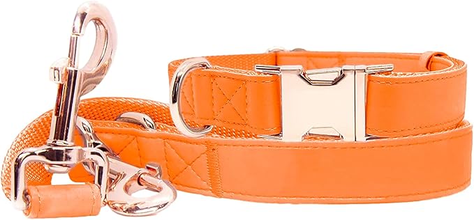Soft Leather Dog Collar and Leash (6.6') Set - Stylish Rose Gold Heavy Duty Metal Buckle, 4 Adjustable Lengths Leash for Small Medium Large Dogs - Comfortable & Easy to Clean Orange L(15.4"-24.8")