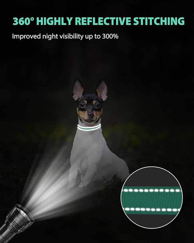 Joytale Small Dog Collar, Reflective and Adjustable Nylon Collar with Quick-Release Buckle, Lightweight No-Choke Design for Puppy and Extra Small Dogs, Teal, XS