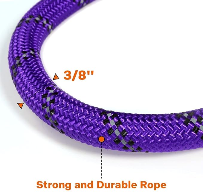 Taglory Rope Dog Leash 5 FT with Comfortable Padded Handle, Highly Reflective Threads Leash for Small Dogs, 3/8 inch, Purple