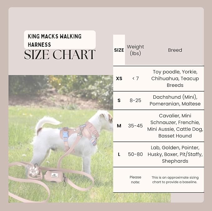 King Macks Dog Harness Set with Collar and Leash, Waste Bag Holder and Dirty Waste Bag Clip, Adjustable for Small/Medium/Large Dogs, Lightweight (Blue with Green, Large)