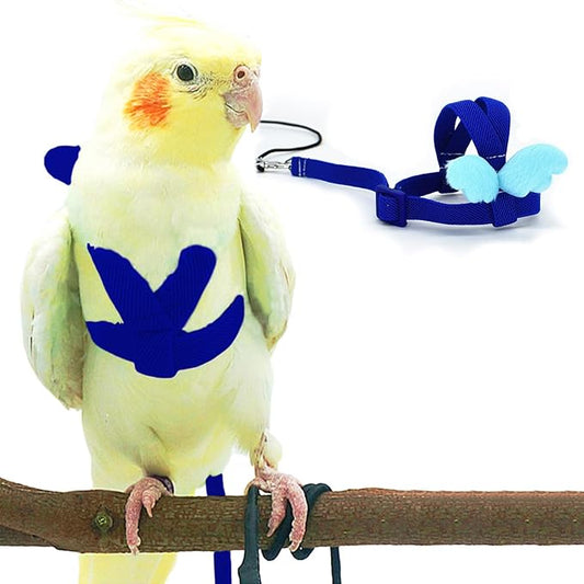Cockatiel Harness and Leash, Adjustable Parrot Bird Training Design Anti-Bite, Bird Nylon Rope with Cute Wing for Cockatiel and Same Size Birds (L, Blue)
