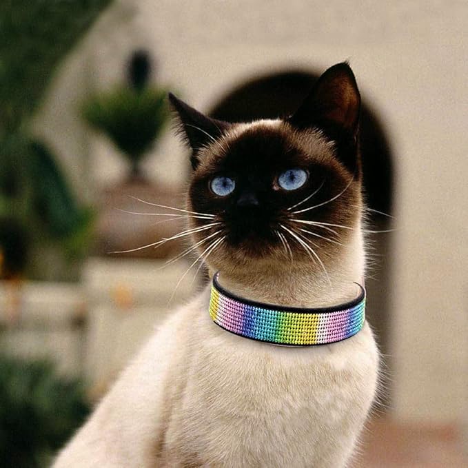 Cute Dog Collar with Bling Rhinestone, Fancy Crystal Diamond Glitter Pretty Jewel Soft Cat Collars for Small Medium Large Breed Dogs Girl Female Pet Puppy Kitten Terrier (M, Black3)