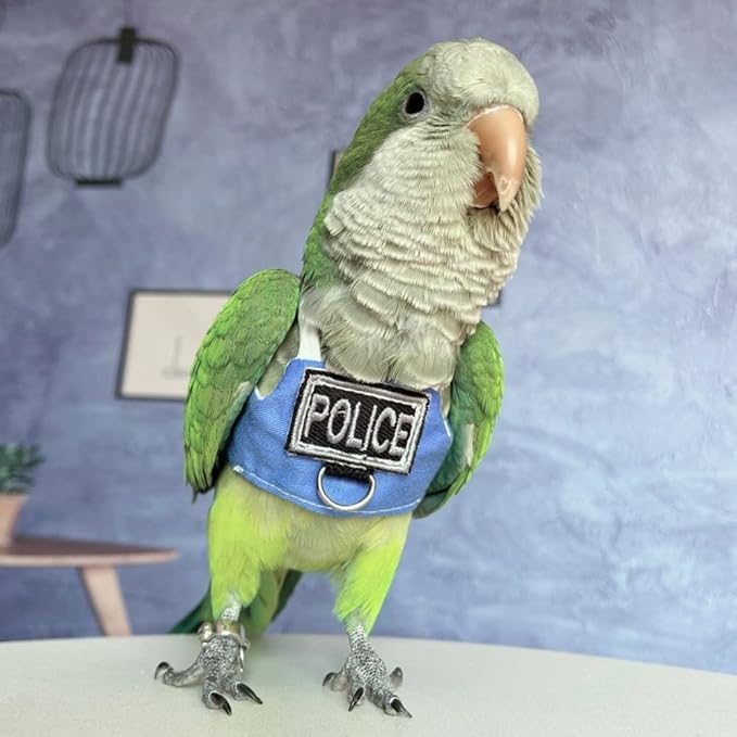Bird Flight Harness Vest, Parrot Flight Suit with Leash, Bird Flying Clothes with Rope and Handle for Outdoor Activities (with Leash,Hahn's Macaw)