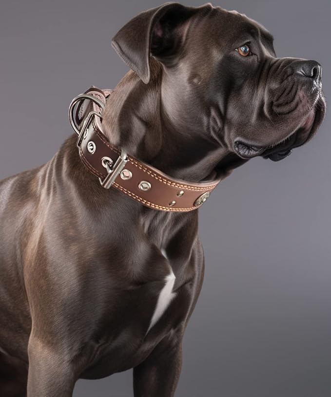 Leather Dog Collar, 2 inches Wide Heavy Duty Genuine Leather Collars, Handmade, Soft, and Luxury, Eye-catching Best Choice for Large and Medium Breed Dogs 19.5-23.5 inches