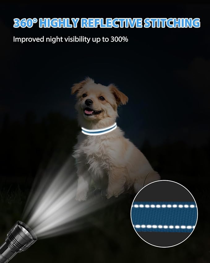 Joytale Small Dog Collar, Reflective and Adjustable Nylon Collar with Quick-Release Buckle, Lightweight No-Choke Design for Small Dogs, Sky Blue, 5/8" Width