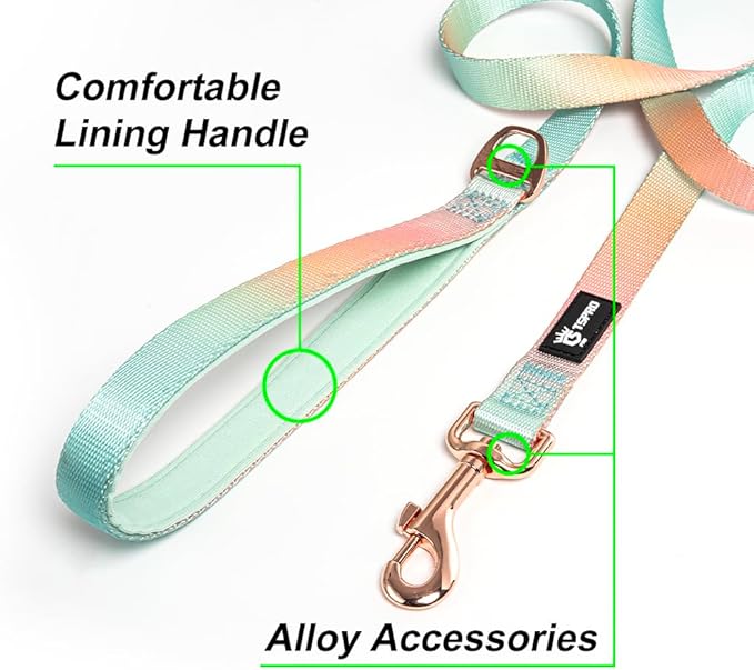 TSPRO Lightweight Dog Leash, Gradient Color Dog Leash, Padded Handle, Durable Dog Leash, Quick Release Metal Buckle, for Small to Medium Dogs Walking (Yellow-Green Gradient)