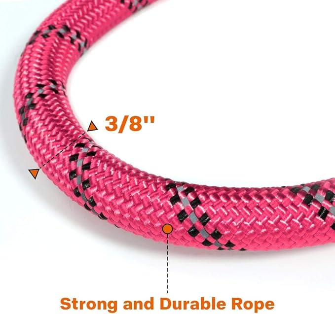 Taglory Rope Dog Leash 5 FT with Comfortable Padded Handle, Highly Reflective Threads Leash for Small Dogs, 3/8 inch, Pink