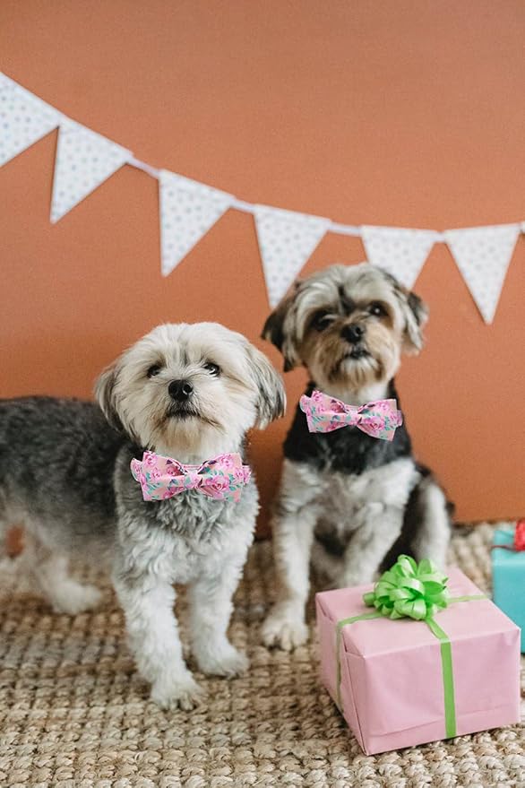 Lionheart glory Floral Rose Print Dog Collar Adjustable Soft Dog Collar with Bowtie, Girl Pet Collars for X-Small Small Medium Large Dogs
