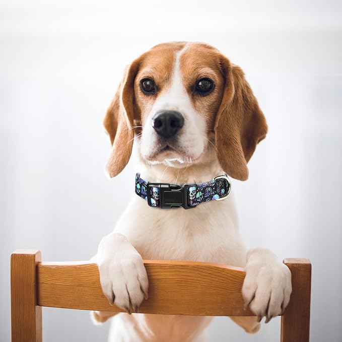 Dog Collars for Medium Boy and Girl Dogs, Adjustable Soft Skull Patterns Dog Collar with Quick Release Buckle for XS Small Medium Large Dogs (Skull M)