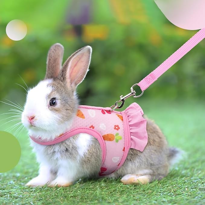 Small Animal Harness Leash & Hat Set - Breathable Mesh, Adjustable Velcro Closure - 3 Colors - Escape-Proof Vest for Bunny, Chinchilla, Guinea Pig, Hamster for All-Season