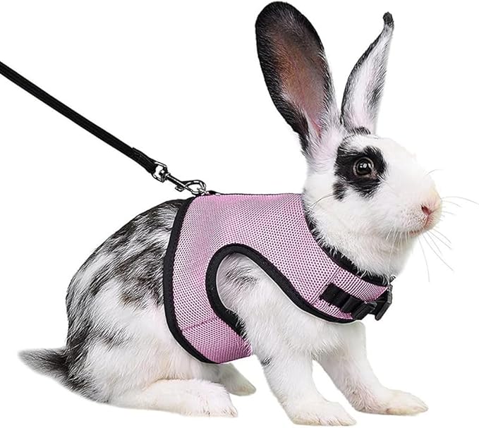 Bunny Harness and Leash Set, Rabbit Vest Hamster Leash Mesh Eescape Proof Walking Training for Small Animal Pets Bunnies Squirrel Ferret,Pink L