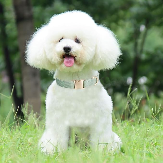 Soft Corduroy Dog Collar and Leash Set, Adjustable Cotton Dog Collars with Metal Buckle and Lead for Small Dogs,Grass Green