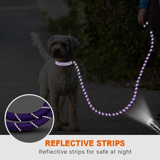Taglory Rope Dog Leash 4 FT with Comfortable Padded Handle, Highly Reflective Threads Leash for Small Dogs, 3/8 inch, Purple