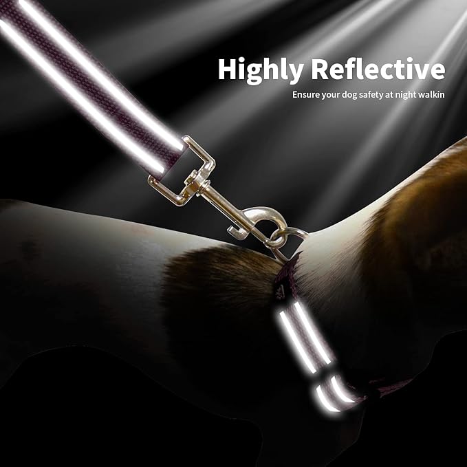 NESTROAD Reflective Dog Collar and Leash Set,Soft Neoprene Pet Collar with Quick Release Buckle,Adjustable Nylon Dog Collars for Small Medium Large Dogs(Small Collar + 5FT Leash,Fuchsia Pink)