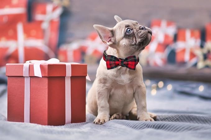 Lionet Paws Christmas Dog Collar with Bowtie, Dog Bowtie Collar with Metal Buckle for Dogs, Adjustable Comfortable Dog Collar Girl Boy Gift, L, Neck 16-24 in