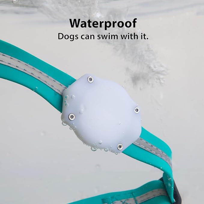 Elevation Lab TagVault AirTag Dog Collar Mount (Pack of 2), IP68 Waterproof, Doesn't Dangle, Fits All Width Collars, Elevation Lab - Glow in The Dark