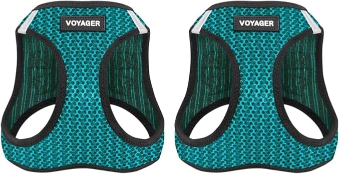 Voyager Step-in Air Dog Harness - All Weather Mesh, Reflective, No Pull Harness for Small, Medium Dogs, Cats - Secure with Hook & Loop Fastener, Buckle, Double D-Rings - Turquoise 2-Tone, XS