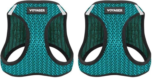 Voyager Step-in Air Dog Harness - All Weather Mesh, Reflective, No Pull Harness for Small, Medium Dogs, Cats - Secure with Hook & Loop Fastener, Buckle, Double D-Rings - Turquoise 2-Tone, XS