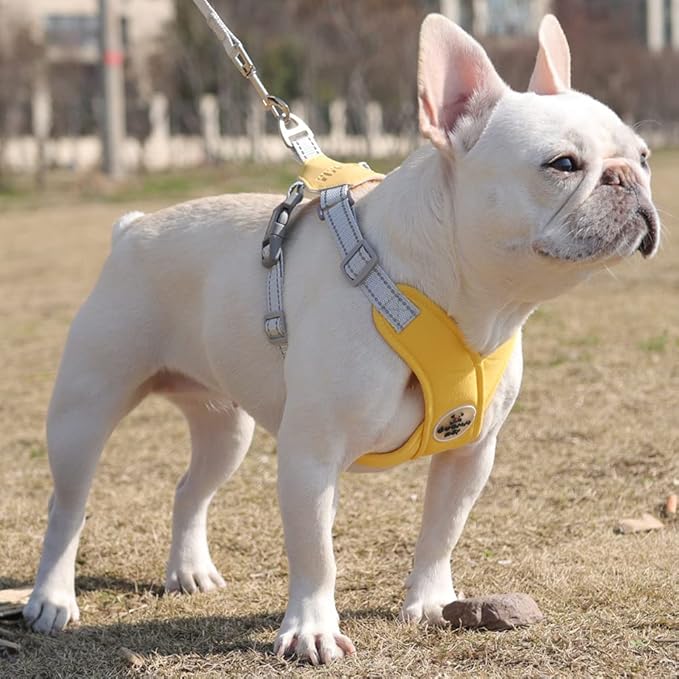 FEimaX Dog Harness Pet X Frame No Pull Step-in Harnesses with Leash Set, Adjustable Reflective Choke Free Puppy with Padded Vest for Small, Medium Dogs and Cats Walking Training