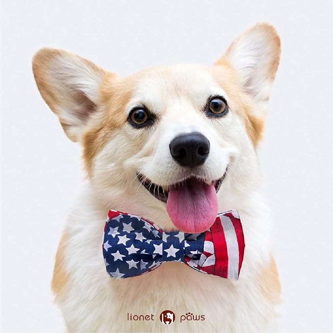 Lionet Paws Patriotic Dog Collar with Bowtie, 4th of July, Soft and Comfortable, Adjustable Collar for Small Dogs, Neck 10-16 inches
