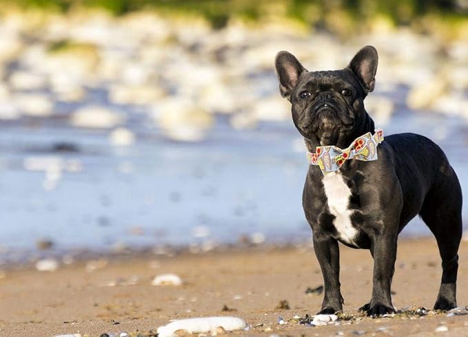 Unique Style Paws Dog Bandanas 1PC Washable Cotton Triangle Dog Scarfs for Small Medium Large Dogs and Cats