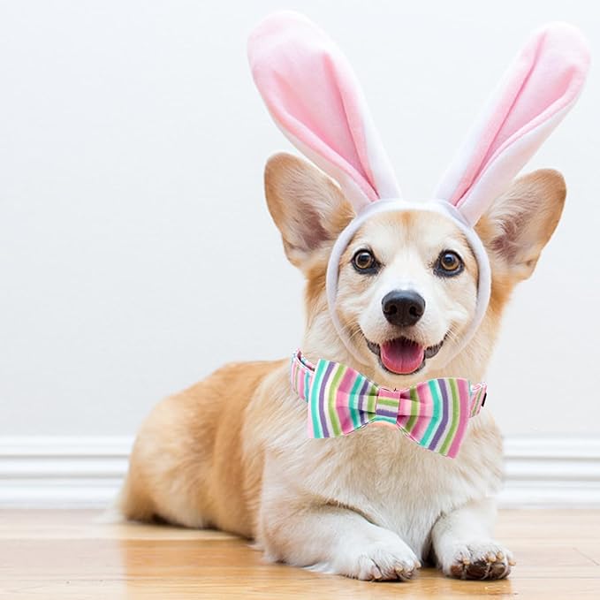 Lionheart glory Easter Dog Collar, Dog Collar with Bow, Pet Collar Adjustable Collar for Dog Bowtie Collars for Large Dogs