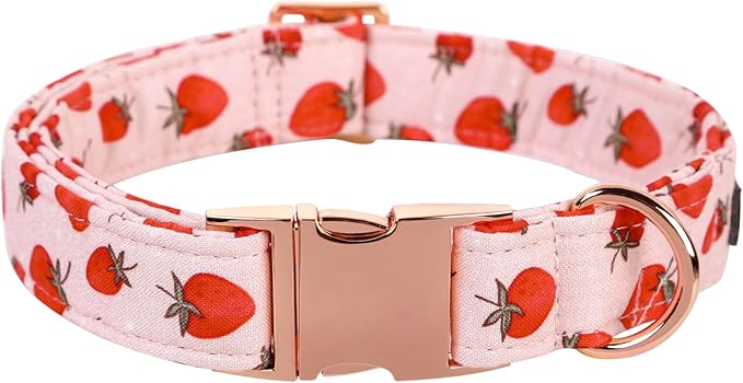 Lionet Paws Dog Collar, Comfortable Adjustable Cute Collar with Metal Buckle for Male Female Dogs, Strawberry Pattern, Medium, Neck 13.5-22 inches