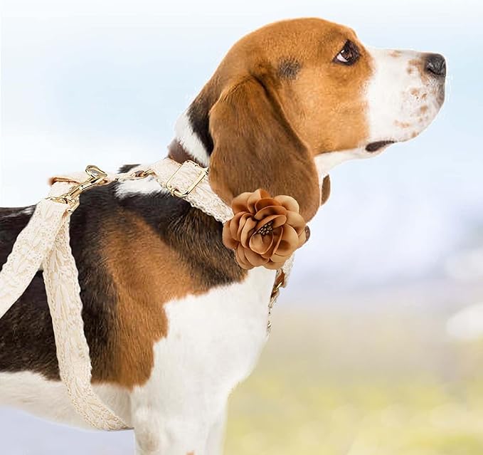 Dog Harness Set Easy Walk No Pull Dog Harness with Handle Girl Leash and Harness for Medium Dogs with Bow & Metal Clasp Adjustable Lace Dog Vest Harness for No Choke Escape Proof Pet Outfit (White,M)