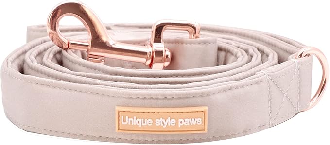 Unique style paws Silk Dog Leash Durable Dog Leashes with Welded D-Ring Comfortable Handle for Small Medium Large Dogs