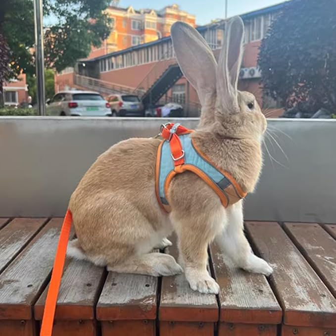 Bunny Harness and Leash Set Reflective Strip Kitten Vest Harness Escape Proof Rabbit Leash Walking Pet Accessories for Small Cat XXS Dog Guinea Pig and Small Animals (Orange, Medium)