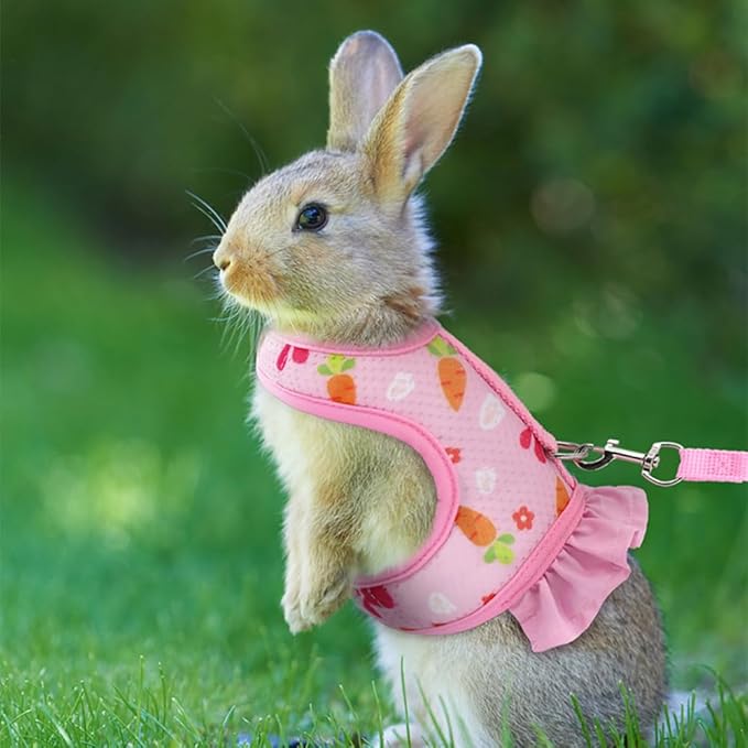 DONGKER Rabbit Harness and Leash,Adjustable Bunny Vest Harness Breathable Mesh Available All Seasons for Walking Escape Proof Guinea Pigs Bunnies Hamsters