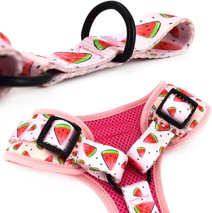 Coowone Dog Harness and Leash Set, Adjustable Puppy Harness and Soft Padded Dog Vest Harness for Small Medium Large Dogs