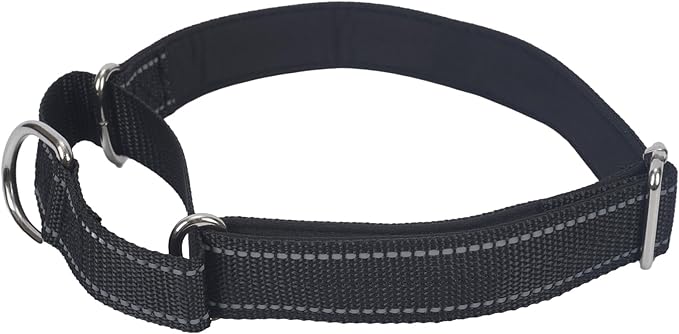 SGODA Martingale Dog Collar, Reflective Nylon Padded Dog Training Collars for Medium Dogs, Black M