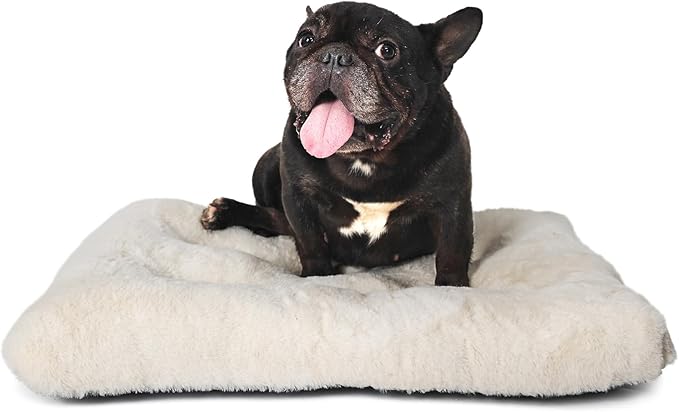 Small Washable Dog Bed Deluxe Plush Crate Beds with Zipper fit Small Breed Pets,24 inch Dog Kennel Pads with Anti-Slip Bottom Pet Sleeping Mat,Ideal for Crates Machine Wash,24 x 18 Cream