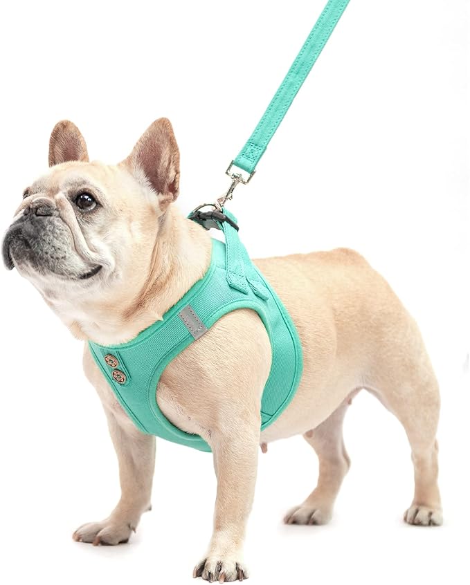 PUPTECK Dog Harness and Leash Set for Small Medium Dogs No Pull Step-in Soft Mesh Puppy Cat Vest Harnesses Reflective at Night, Denim Green S