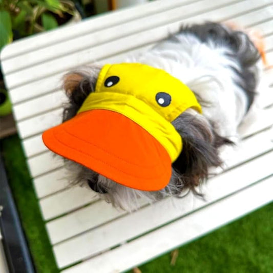 Yellow-Orange Baseball Cap for Dogs (Medium)