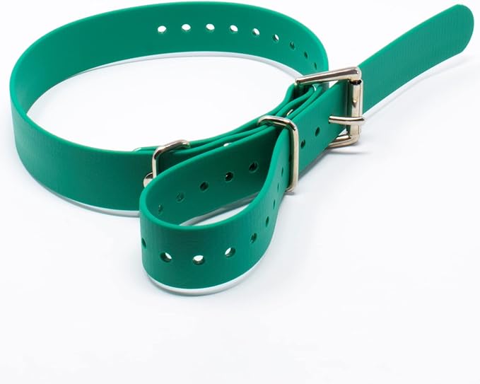 Educator Biothane Dog Collar, Waterproof, Odorproof, Metal Buckle and D Ring, Adjustable for Custom Fit, Cool and Comfortable, for Small, Medium, or Large Dogs, 1-Inch, Green