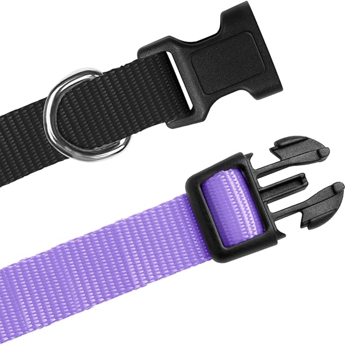 Replacement Collar for Shock Collar, Stylish & Comfortable Nylon Dog Collar with Quick Release Buckle, Compatible with PetSafe Bousnic Sportdog Garmin E Collar Replacement Strap(Purple & Black)