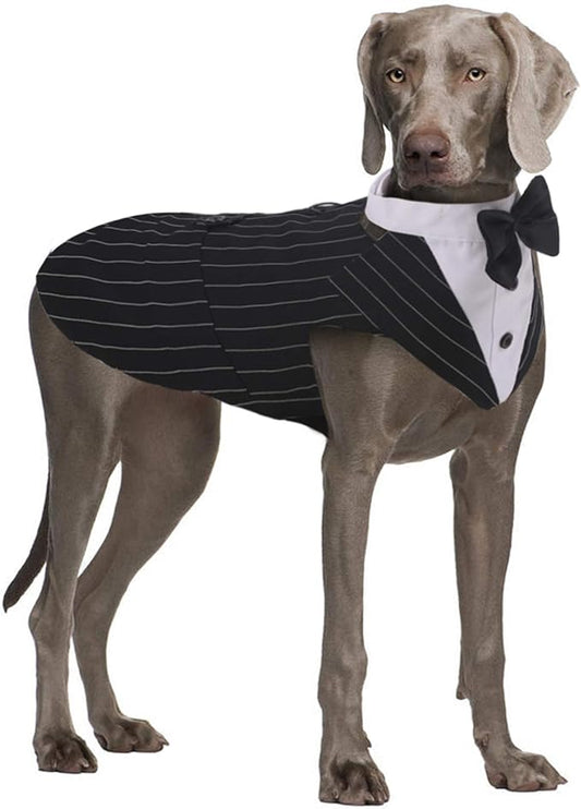 QBLEEV Tuxedo for Large Dogs, Suit and Bandana Set, Wedding Outfit With Bow Tie, Formal Tux Costume for Halloween, Christmas, Birthday Party, Cosplay - Stripe XL