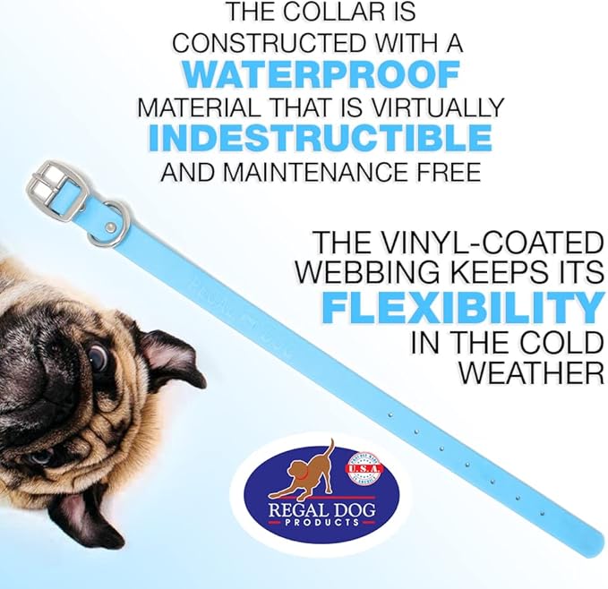 Regal Dog Products Small Light Blue Dog Collar with Heavy Duty Double Buckle & D Ring | Vinyl Coated, Custom Fit, Adjustable Biothane Dog Collar Chew Resistant Waterproof Collar for Dogs