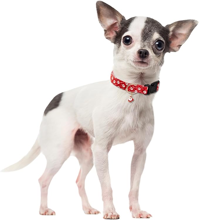 Red Christmas Dog Collar for Small Medium Large Dogs Special Design Cute Red Santa Claus Dog Collar for Girl Boy Dogs Soft Adjustable Santa Claus Puppy Collars for Male Female Dogs S