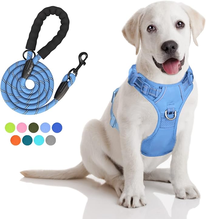 PoyPet No Pull Dog Harness and 5 Feet Leash Set, Release on Neck Reflective Adjustable Pet Vest, Front & Back 2 D-Ring and Soft Padded Pet Harness with Handle for Small to Large Dogs(Light Blue,M)