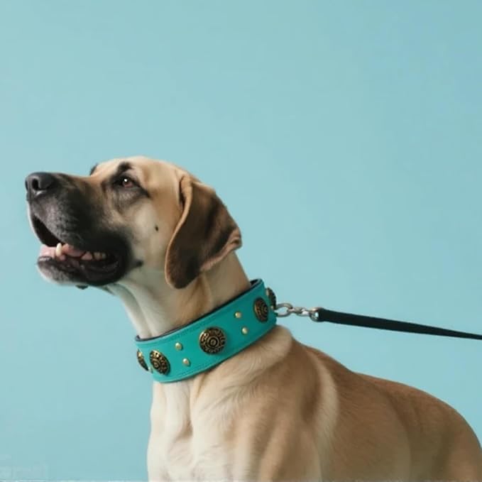 Leather Dog Collar for Medium Dogs, 2" Wide Durable Thick Strong Genuine Leather Spike Dog Collar with Metal Buckle, Padded Collar with Studded Design for Girl Boy Dogs (Teal,M)