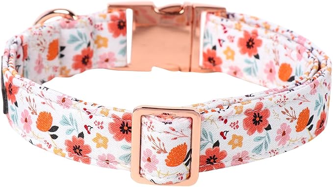 Lionet Paws Dog Collar, Adjustable Cute Collar with Metal Buckle for Male Female Puppies,Summer Flower, Medium, Neck 13.5-22 inches
