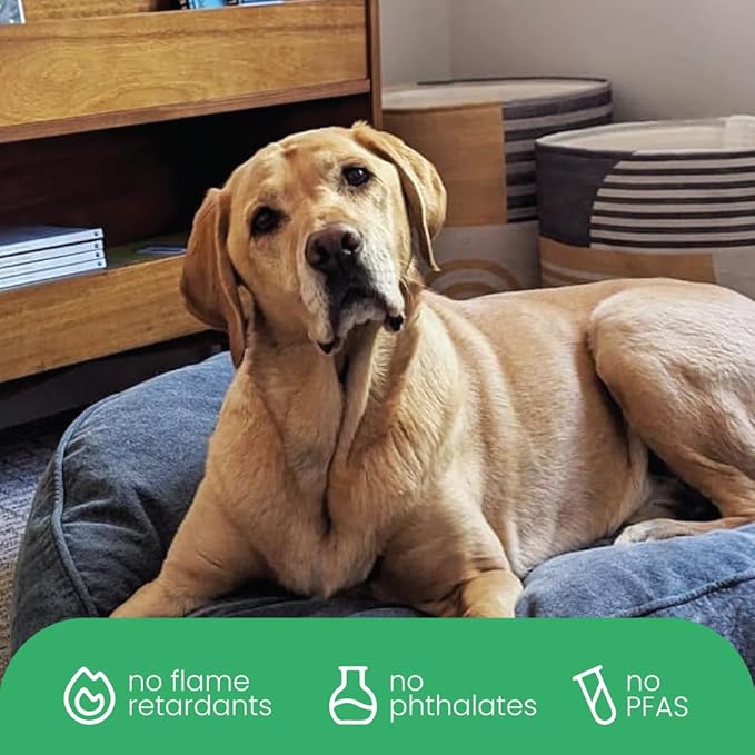 Molly Mutt Dragonstone Dog Bed Duvet Cover, GOTS-Certified 100% Cotton Canvas Cover for Dog, Puppy, or Cat Bed, Durable, Washable, and Free of Harmful Chemicals, Huge, 36"x45"x5", Blue