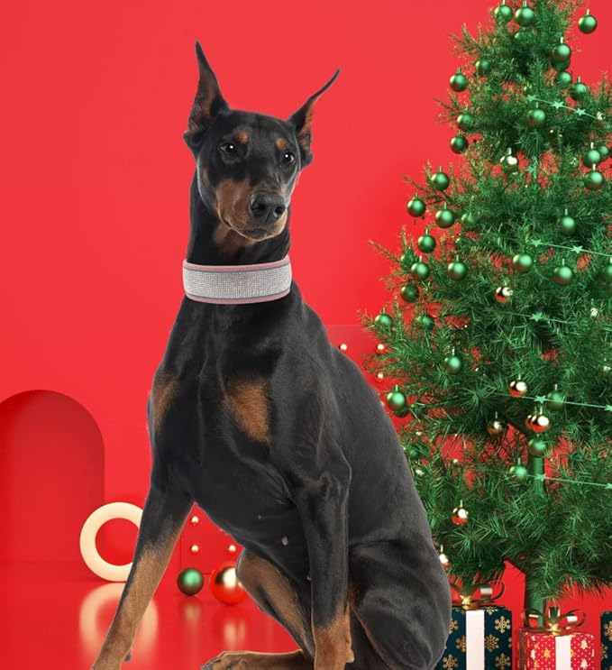 Bling Diamond Dog Collar for Females Girls,Soft Velvet Leather with Fancy Sparkly Crystal Rhinestones,Reflective Stripe,Suit Medium Large Dogs (Red, M)